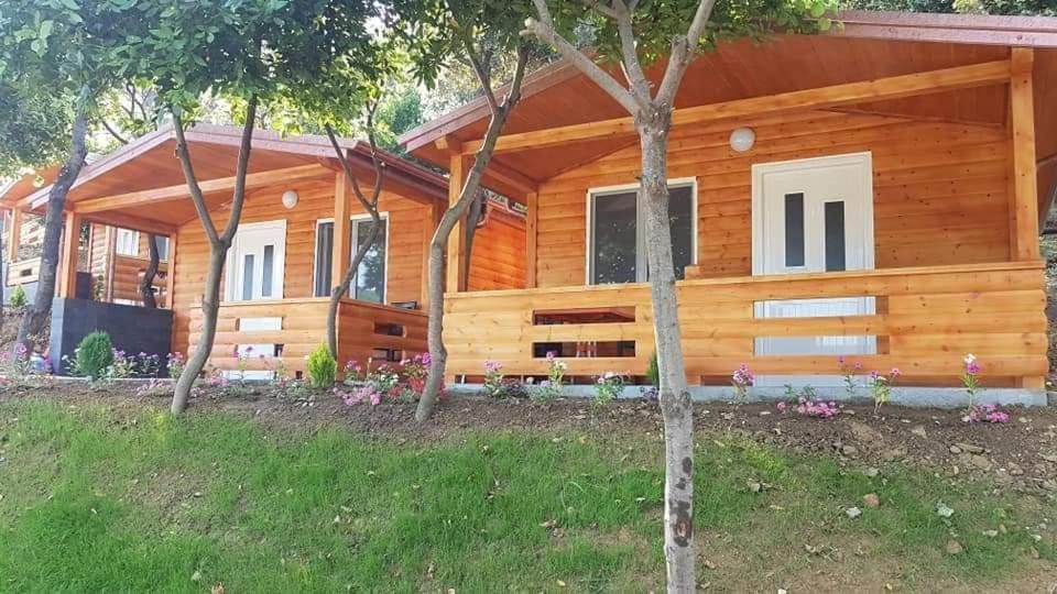 Plazhi Gjeneralit - Small Cabins - Bungalows - Apartaments - Villas - Suite Kavaje Exteriör bild